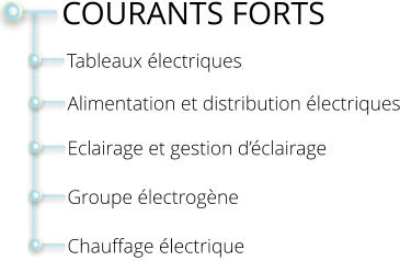 Tableaux électriques   COURANTS FORTS Alimentation et distribution électriques  Eclairage et gestion d’éclairage  Groupe électrogène   Chauffage électrique